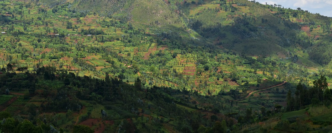 Green Land Alliance - green Burundian hills