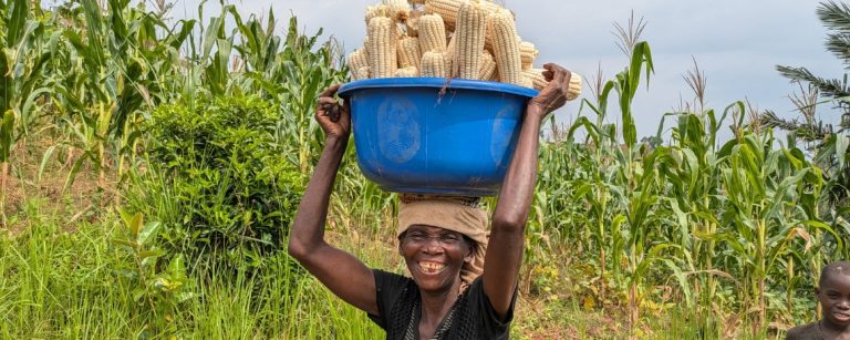Woman carrying corn FfF